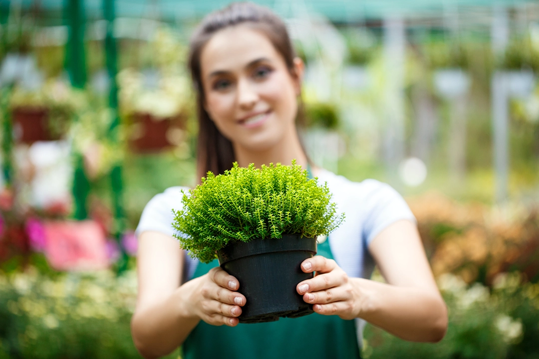 Respond to Customer Demand Faster