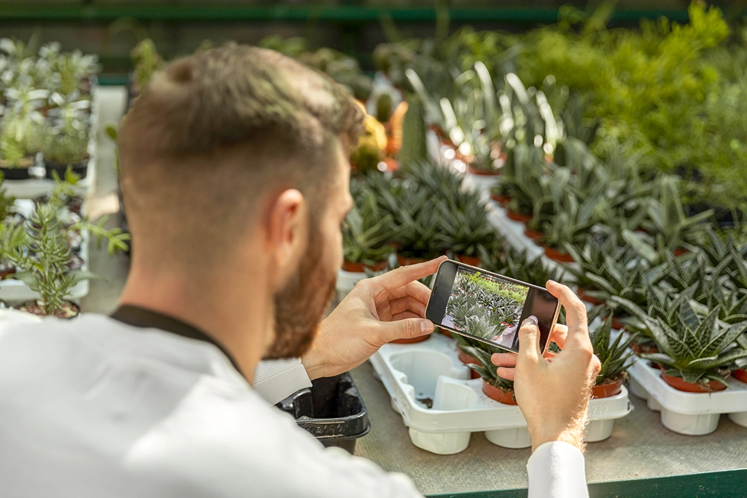 The Power of Visual Product Presentation in Plant Production