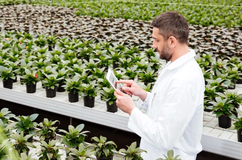 nursery management solution