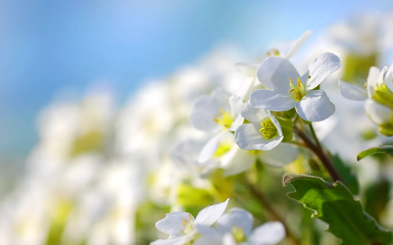 Botafi 5.0 ile Yeni Raporlama Modülü ve Her lokasyona özel kroki